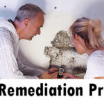 mold remediation process