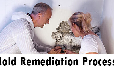 All You Need To Know About Mold Remediation Process